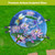 Dragonflies and Water Lilies Glass Birdbath with colorful dragonflies, pink flowers and green lily pads.