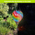 Colorful Patchwork Solar Balloon Lantern with vibrant tie-dye pattern, hanging outdoors, shining bright at night.
