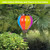 Multicolor Solar Balloon Lantern with blue, pink, orange, and yellow panels hanging outdoors.