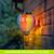 Multicolor solar balloon lantern with tassel hanging from chain, lit up against wooden wall outdoors.