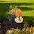 supplemental image 1