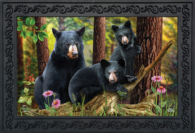 Bears