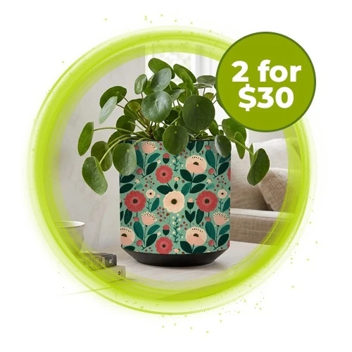 deals-mb.png