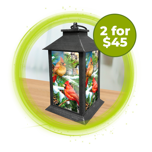 Breaking Bad Bandiera Da Giardino, Bandiera Da Giardino Di Breaking Bad Jane P6993552