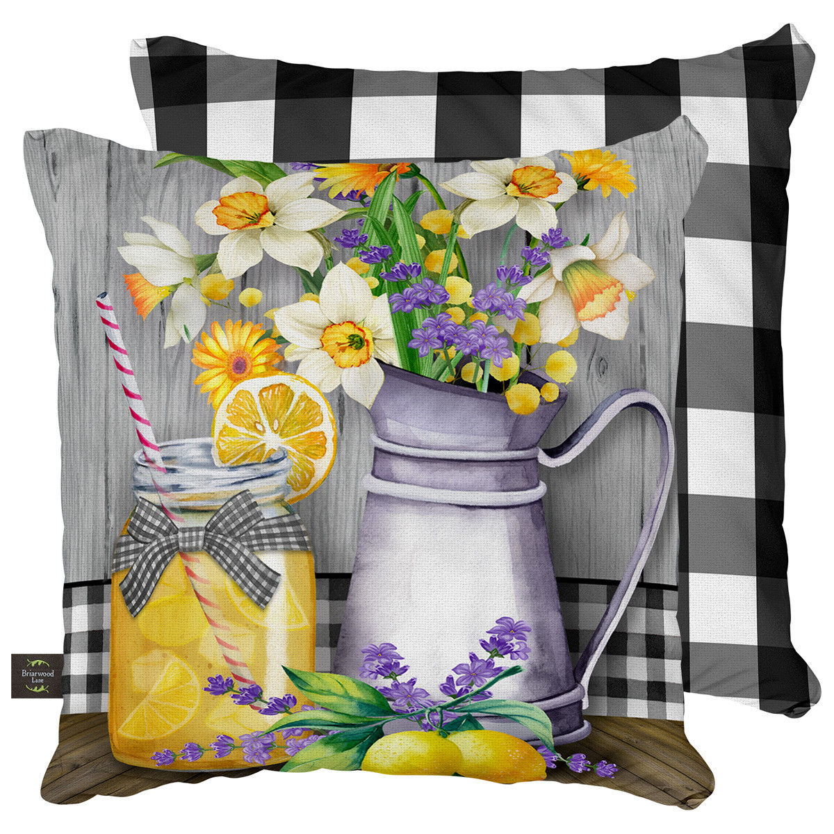 Image of Lemonade Summer Decorative Pillow