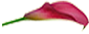 ARTEMEX