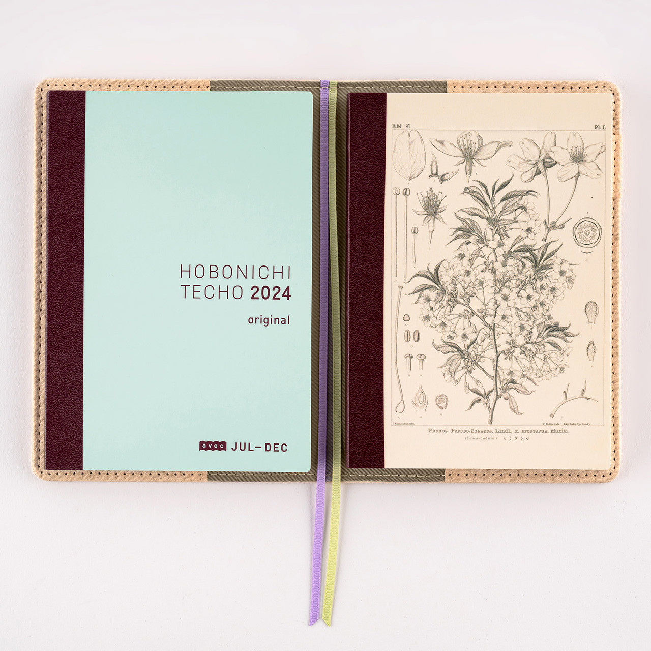 Hobonichi 2024 Plain Notebook - Tomitaro Makino: Yamazakura - A6