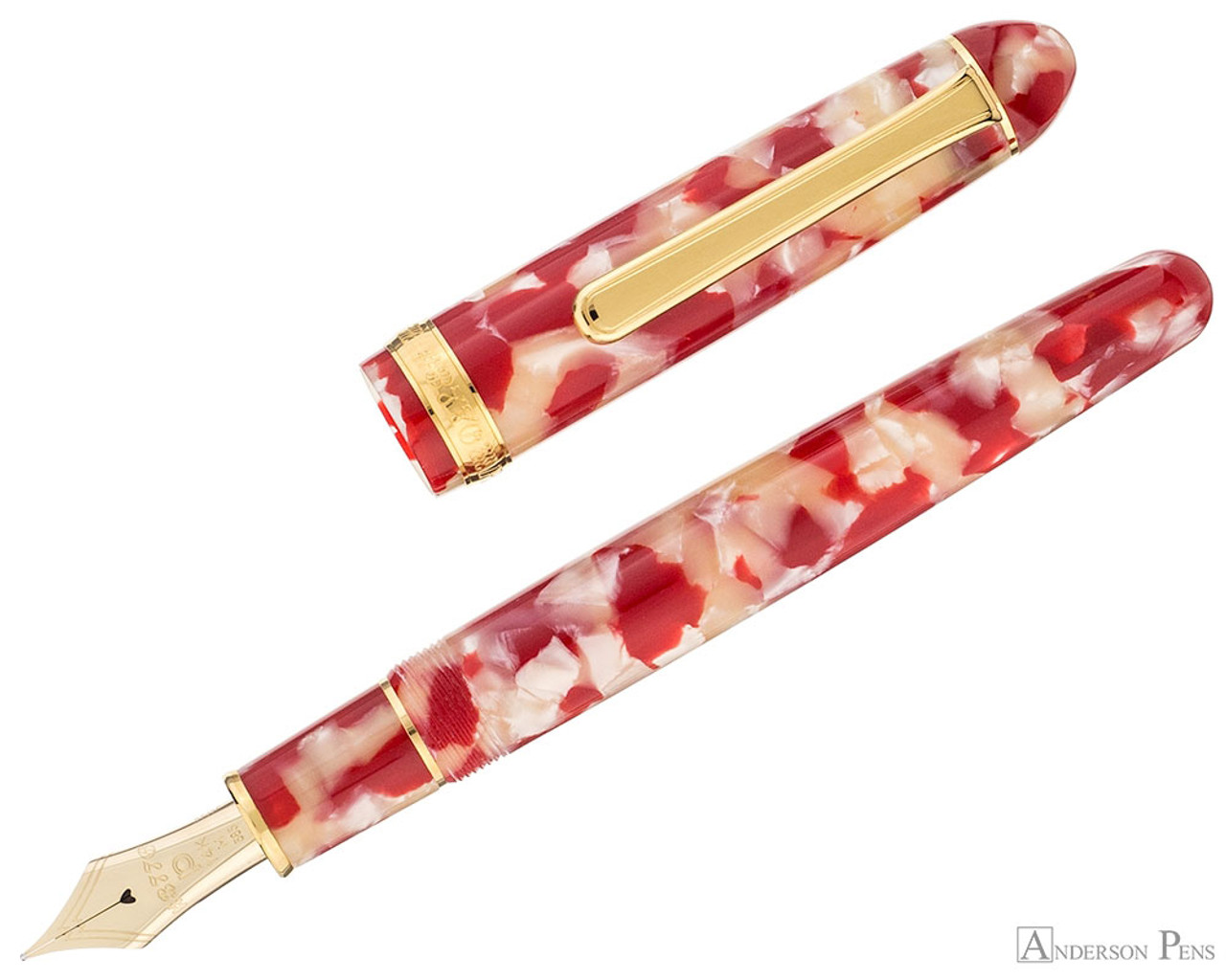 Platinum 3776 Celluloid Fountain Pen - Koi