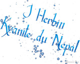 J. Herbin 1798 Anniversary Kyanite du Nepal Ink (50ml Bottle) in action