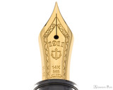 Sailor 1911 Standard Fountain Pen - Transparent with Gold Trim - Nib Closeup