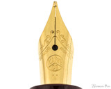 Kaweco Classic Sport Fountain Pen - Bordeaux - Nib Closeup