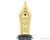 Sailor 1911 Large Fountain Pen - Clear with Gold Trim - Nib Closeup