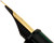 Platinum 3776 Century Fountain Pen - Laurel Green - Nib Profile