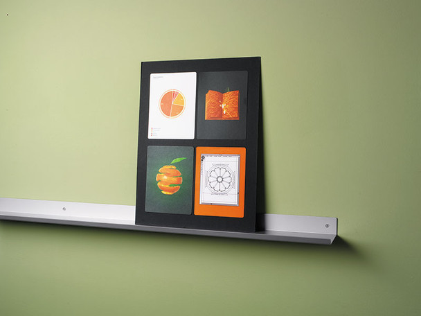 Peter Pepper Envision PR36 Presentation Rail - 36" Long