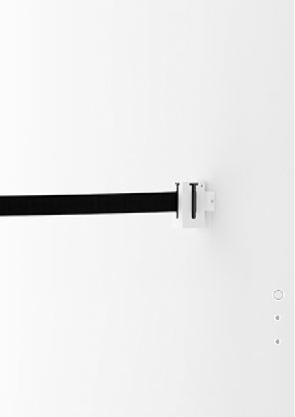 Magnuson TREC-WB Trec Crowd Control Wall Mount Unit with 9' Long Strap - Multiple Finishes and Strap Colors Magnuson TREC-WB Trec Crowd Control Wall Mount Unit with 9' Long Strap - Multiple Finishes and Strap Colors