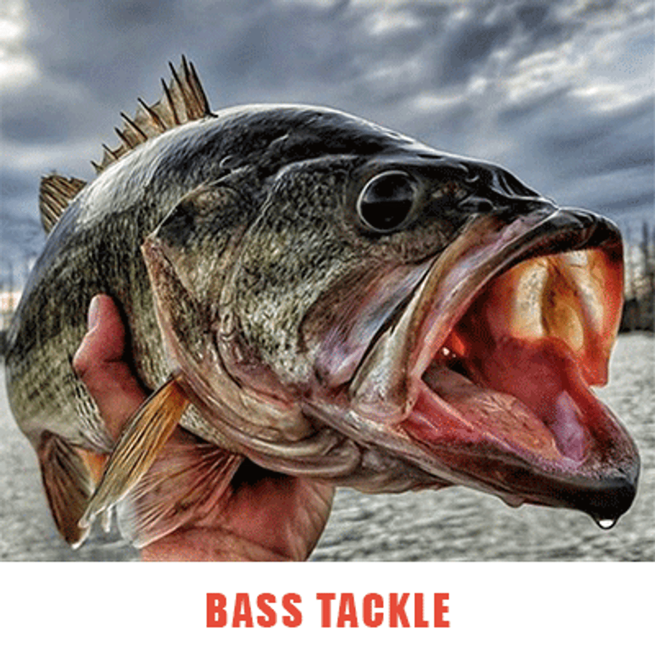 Bass Tackle