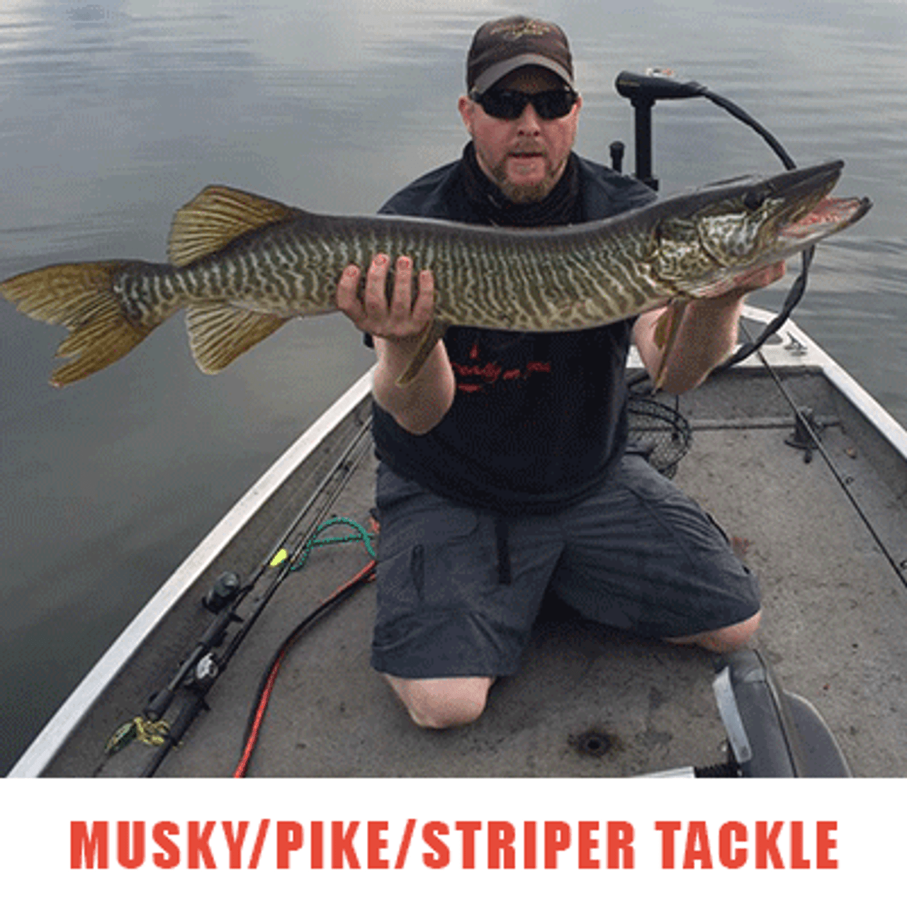 Musky/Pike/Striper