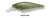 Baker Suspending Shad - BDT1 - 2.75" 1/3oz - 2-4 ft