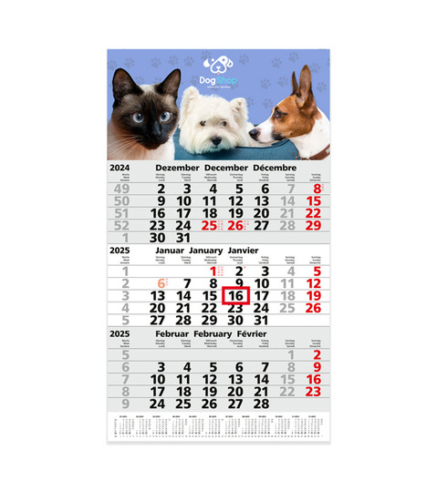 Post calendrier mural 3 mois 6 langues
