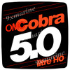 OMC Cobra Flame Arrestor Sticker 5.0 litre HO 