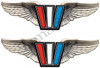 Two Wellcraft Boat Wings Stickers for Restoration Project
