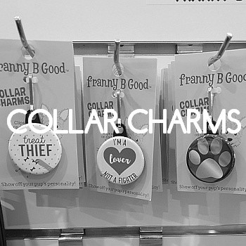 Collar Charms