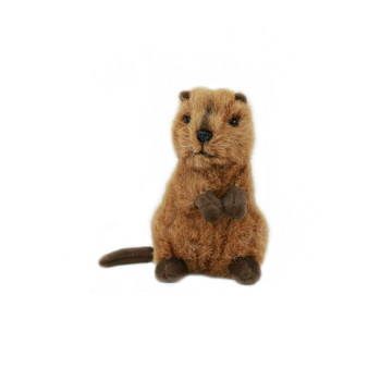 Mini Quokka Plush Toy - 14 cm - Bocchetta Plush