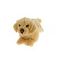 Golden Retriever Puppy Plush Toy - Maple - 28 cm