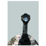 Emu art print  - size A4 - made in Australia Emu art print  - size A4 - made in Australia