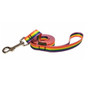 EcoWeave Skinny Leash - Rainbow Pride - 183 cm - width approx 1.6cm