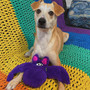 Bat Dog Toy - Duraplush - Non-Squeak - made from recycled material