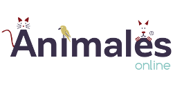 Animales Online