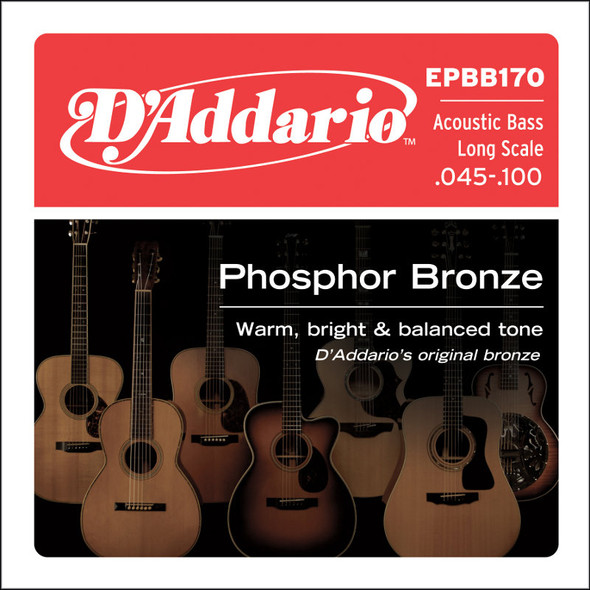 D'Addario Phosphor Bronze Acoustic 4-String Bass Strings 45-100 Medium-Light EPBB170