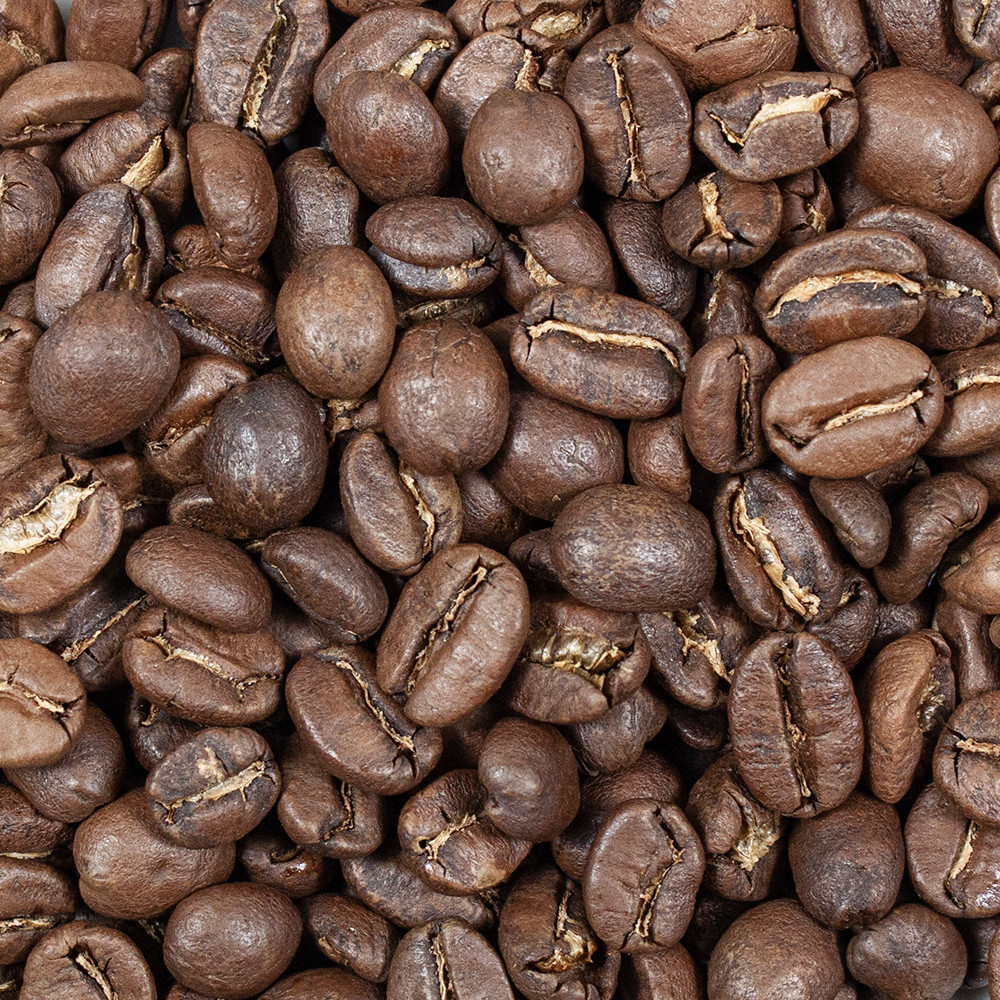 Jungle Java Blend 5lb | Chicago Coffee Masters