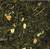 Ashbys® Jasmine Tea 2lb