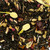 Ashbys® 3oz Loose Leaf Tea Retail Bags Winterberry 6/cs