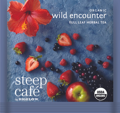 Steep Cafe Organic Wild Encounter 50/cs | Chicago Coffee Masters