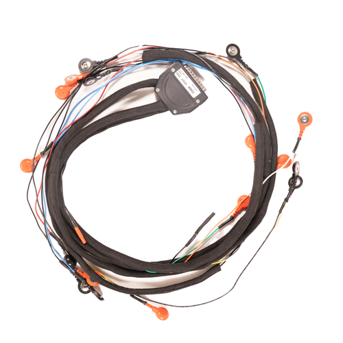Body20 wired-harness