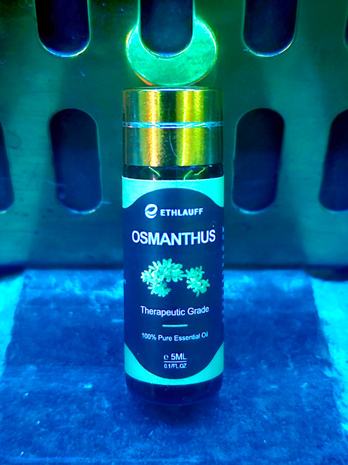 Curated set of 40 premium essential oils in small vials, including lavender, sandalwood, jasmine, peppermint, and more – perfect for custom fragrance blending.