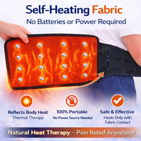 Heat pad with magnets