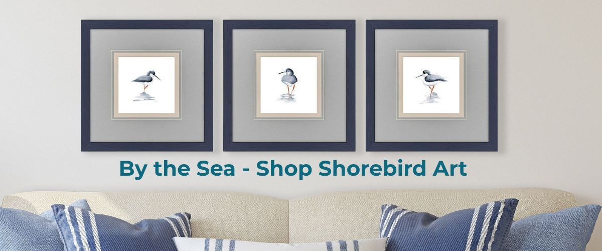 Shorebird Images