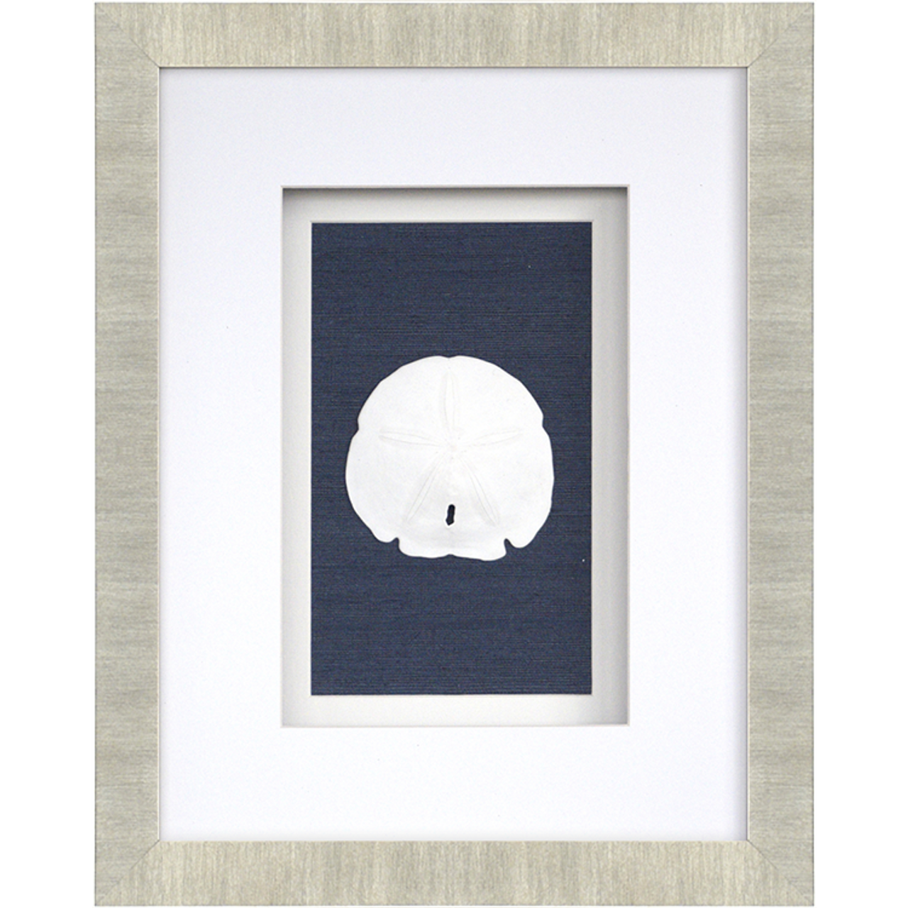 Sand Dollars Shadowbox Art - Set of Four