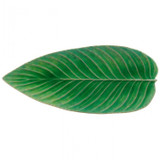 Riviera Strelizia Leaf Platter - Tomate Riviera Strelizia Leaf Platter - Tomate