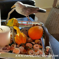 Shells and Tiny Pumpkins for Decorating