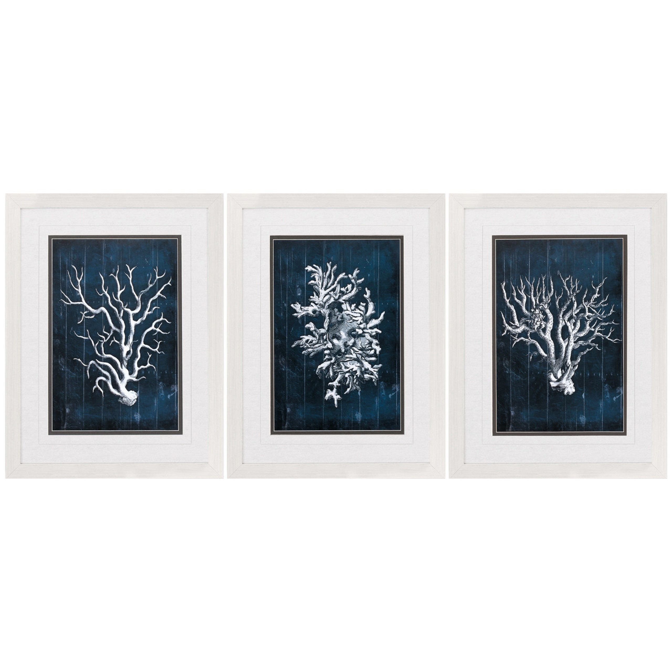 Navy Blue Coral Framed Prints - Set of 3