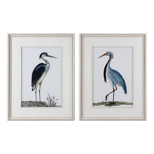 Shore Bird Art Framed in White Art