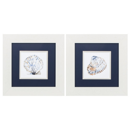 Beach Shells in White Frames - Set of Two