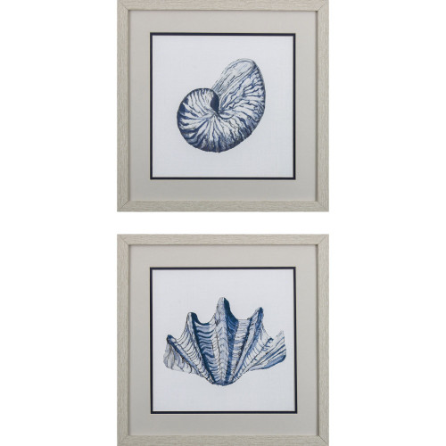 Nautical Shells Wall Art- Set of Two