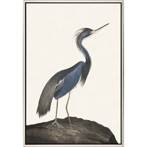 Great Blue Heron I Framed Art