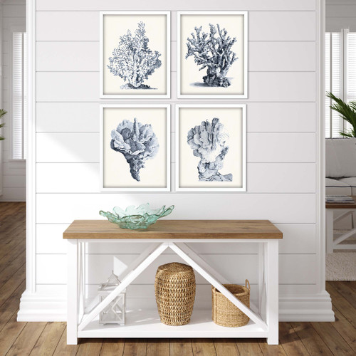 Blue Antique Coral Framed Prints - Set of Four room image